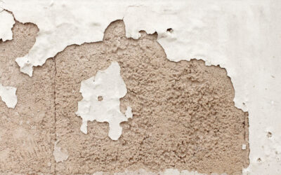 How to Fix Peeling Paint